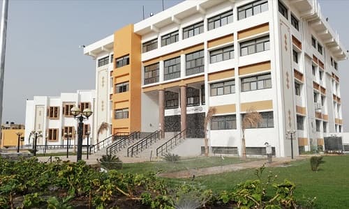 جامعة العريش - 1